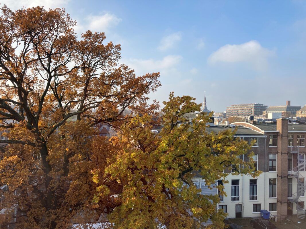 Hooghiemstra en Partners